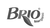 brio-logo